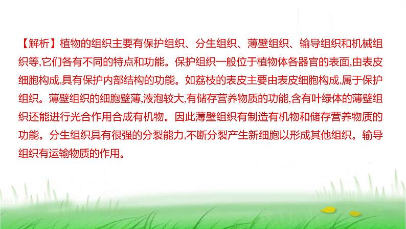 人教版七年级生物上册第一单元第三章第三节植物体的结构层次课件07