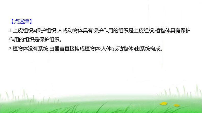 人教版七年级生物上册第一单元第三章第三节植物体的结构层次课件08