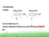 人教版七年级生物上册第一单元第三章第四节单细胞生物课件