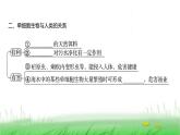 人教版七年级生物上册第一单元第三章第四节单细胞生物课件