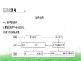 人教版七年级生物上册第二单元第一章第二节种子植物课件