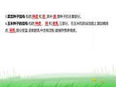 人教版七年级生物上册第二单元第一章第二节种子植物课件