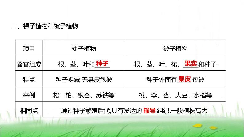 人教版七年级生物上册第二单元第一章第二节种子植物课件第5页