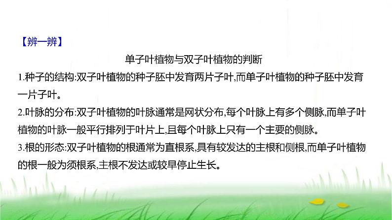 人教版七年级生物上册第二单元第一章第二节种子植物课件第6页