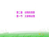 人教版七年级生物上册第二单元第二章第一节无脊椎动物课件