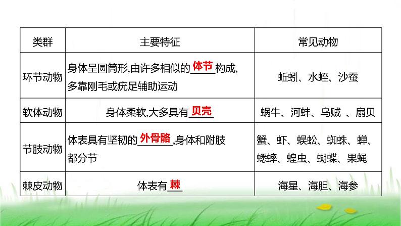 人教版七年级生物上册第二单元第二章第一节无脊椎动物课件04