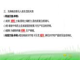 人教版七年级生物上册第二单元第二章第一节无脊椎动物课件