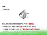 人教版七年级生物上册第二单元第二章第二节一鱼课件