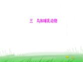 人教版七年级生物上册第二单元第二章第二节三鸟和哺乳动物课件