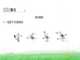 人教版七年级生物上册第二单元第二章第二节三鸟和哺乳动物课件