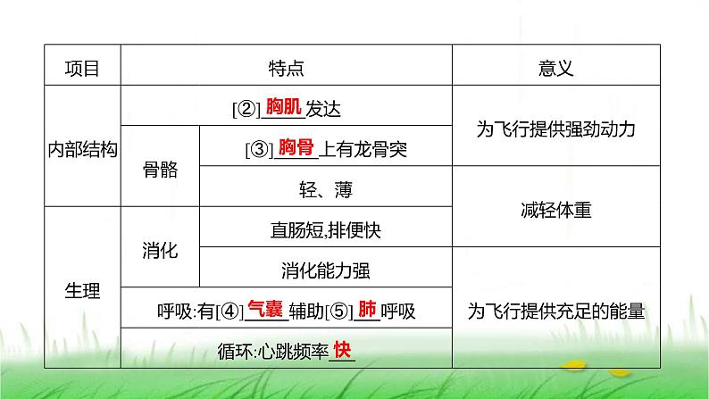 人教版七年级生物上册第二单元第二章第二节三鸟和哺乳动物课件04