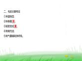 人教版七年级生物上册第二单元第二章第二节三鸟和哺乳动物课件
