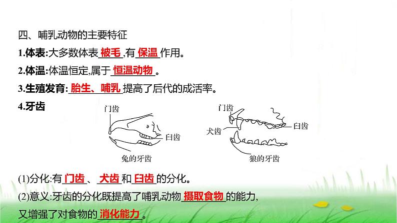 人教版七年级生物上册第二单元第二章第二节三鸟和哺乳动物课件07