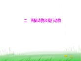 人教版七年级生物上册第二单元第二章第二节二两栖动物和爬行动物课件