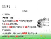 人教版七年级生物上册第二单元第二章第二节二两栖动物和爬行动物课件