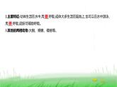 人教版七年级生物上册第二单元第二章第二节二两栖动物和爬行动物课件