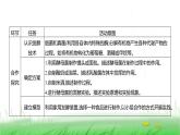人教版七年级生物上册综合实践项目2利用细菌或真菌制作发酵食品课件