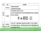 人教版七年级生物上册综合实践项目2利用细菌或真菌制作发酵食品课件