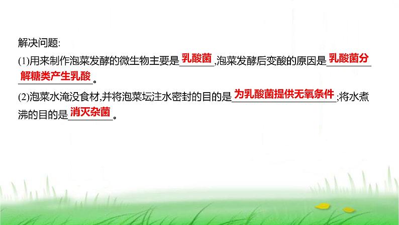 人教版七年级生物上册综合实践项目2利用细菌或真菌制作发酵食品课件07