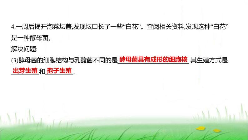 人教版七年级生物上册综合实践项目2利用细菌或真菌制作发酵食品课件08