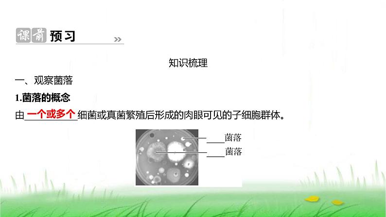 人教版七年级生物上册第二单元第三章第一节微生物的分布课件第2页