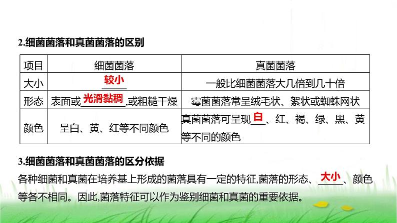 人教版七年级生物上册第二单元第三章第一节微生物的分布课件第3页