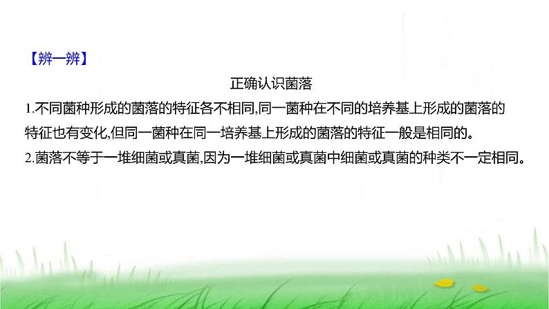 人教版七年级生物上册第二单元第三章第一节微生物的分布课件第6页