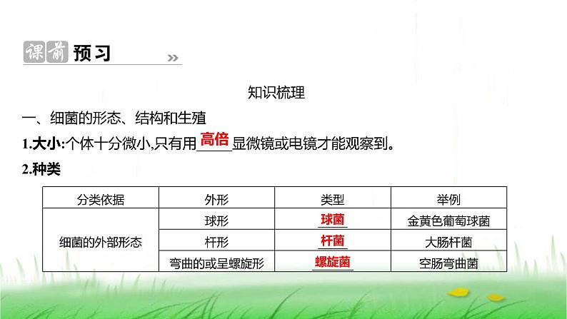 人教版七年级生物上册第二单元第三章第二节细菌课件02