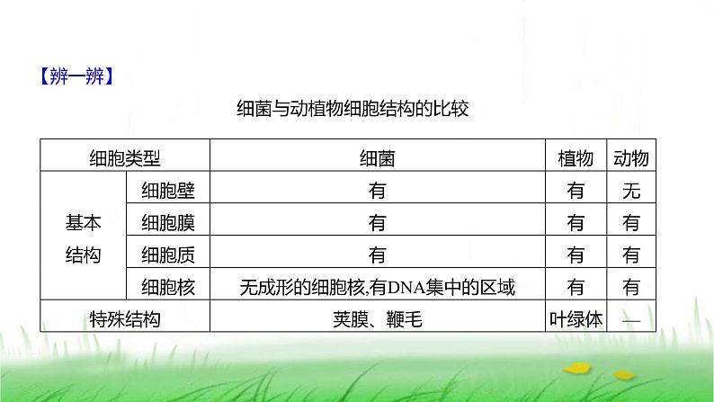 人教版七年级生物上册第二单元第三章第二节细菌课件05