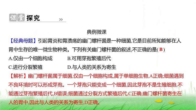 人教版七年级生物上册第二单元第三章第二节细菌课件06