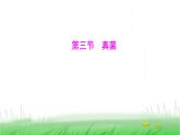 人教版七年级生物上册第二单元第三章第三节真菌课件