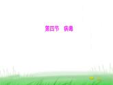 人教版七年级生物上册第二单元第三章第四节病毒课件