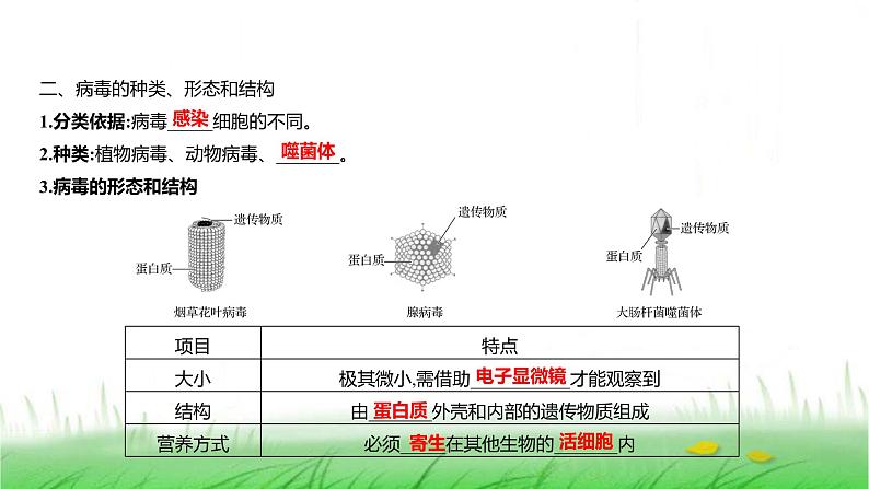 人教版七年级生物上册第二单元第三章第四节病毒课件03