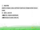 人教版七年级生物上册第二单元第三章第四节病毒课件
