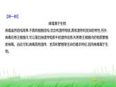 人教版七年级生物上册第二单元第三章第四节病毒课件