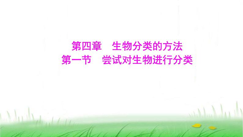 人教版七年级生物上册第二单元第四章第一节尝试对生物进行分类课件第1页