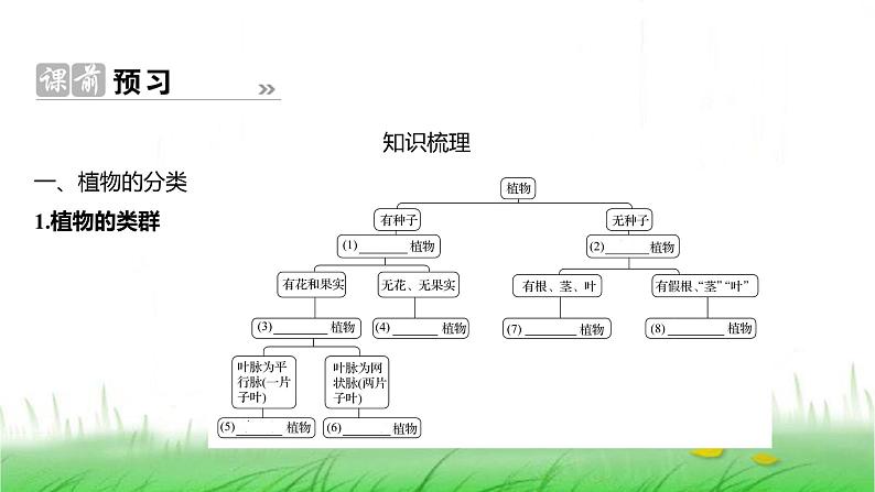 人教版七年级生物上册第二单元第四章第一节尝试对生物进行分类课件第2页