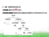 人教版七年级生物上册第二单元第四章第一节尝试对生物进行分类课件