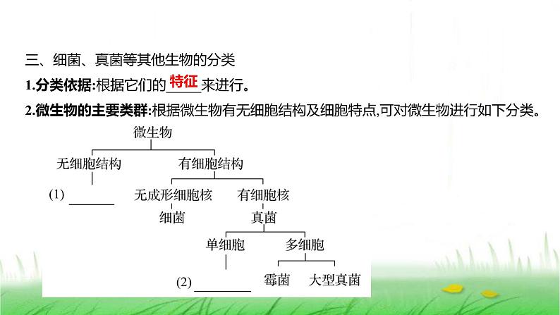 人教版七年级生物上册第二单元第四章第一节尝试对生物进行分类课件第4页