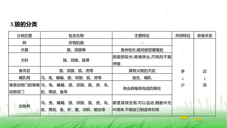 人教版七年级生物上册第二单元第四章第二节从种到界课件03