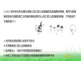 人教版七年级生物上册期中素养测评卷(第一单元)课件