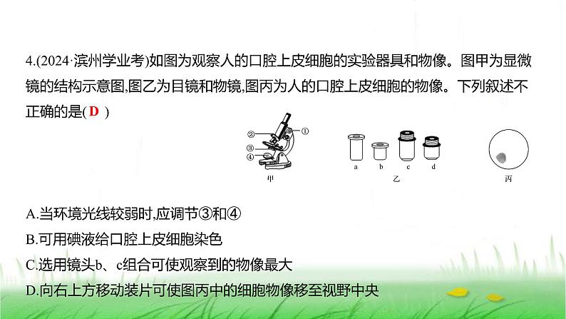 人教版七年级生物上册期中素养测评卷(第一单元)课件第5页