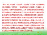 人教版七年级生物上册期末素养测评卷(达标卷)(第一、二单元)课件