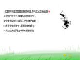 人教版七年级生物上册期末素养测评卷(提升卷)(第一、二单元)课件