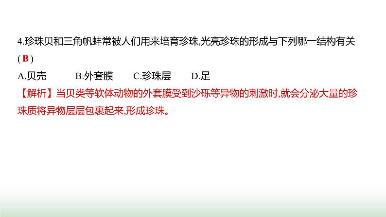 人教版八年级生物上册月考提升测评卷(一)课件第5页