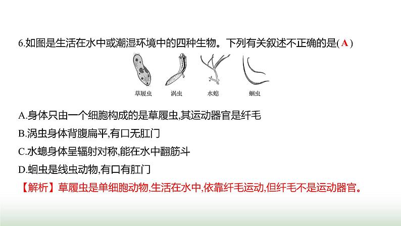 人教版八年级生物上册月考提升测评卷(一)课件第7页