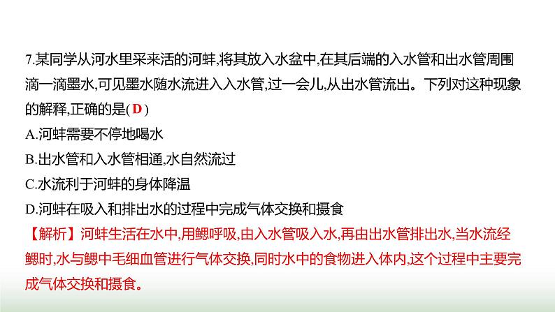 人教版八年级生物上册月考提升测评卷(一)课件第8页