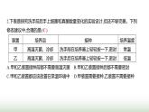 人教版八年级生物上册月考提升测评卷(二)课件