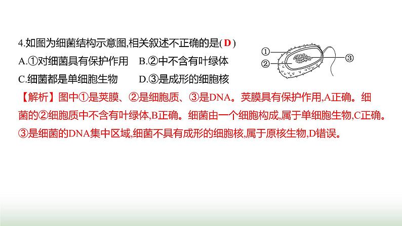 人教版八年级生物上册月考提升测评卷(二)课件第7页