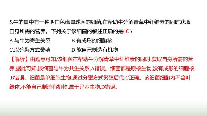 人教版八年级生物上册月考提升测评卷(二)课件第8页